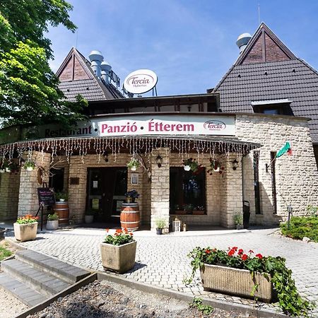 Tercia Hubertus Panzio Bed & Breakfast Sopron Dış mekan fotoğraf
