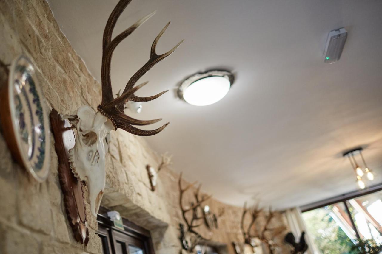 Tercia Hubertus Panzio Bed & Breakfast Sopron Dış mekan fotoğraf