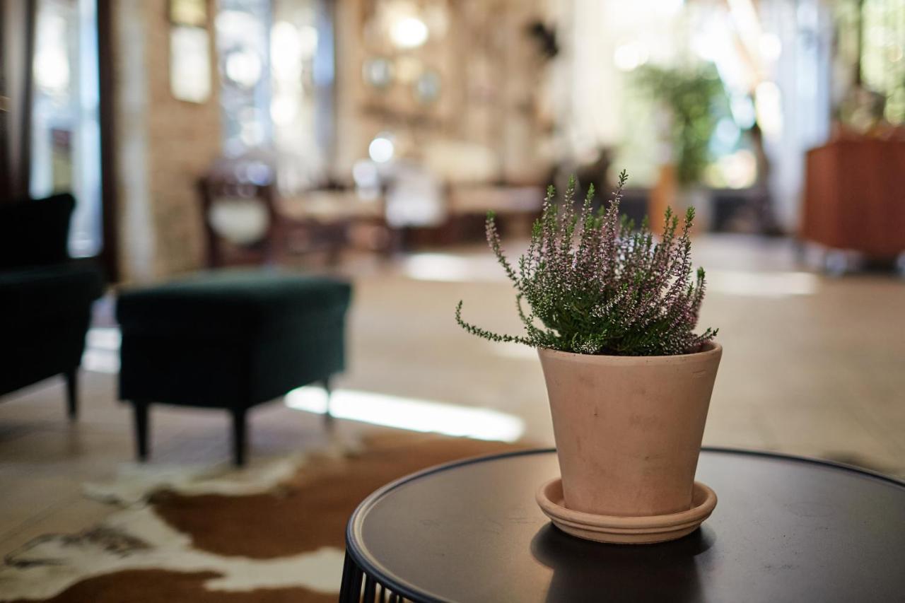 Tercia Hubertus Panzio Bed & Breakfast Sopron Dış mekan fotoğraf
