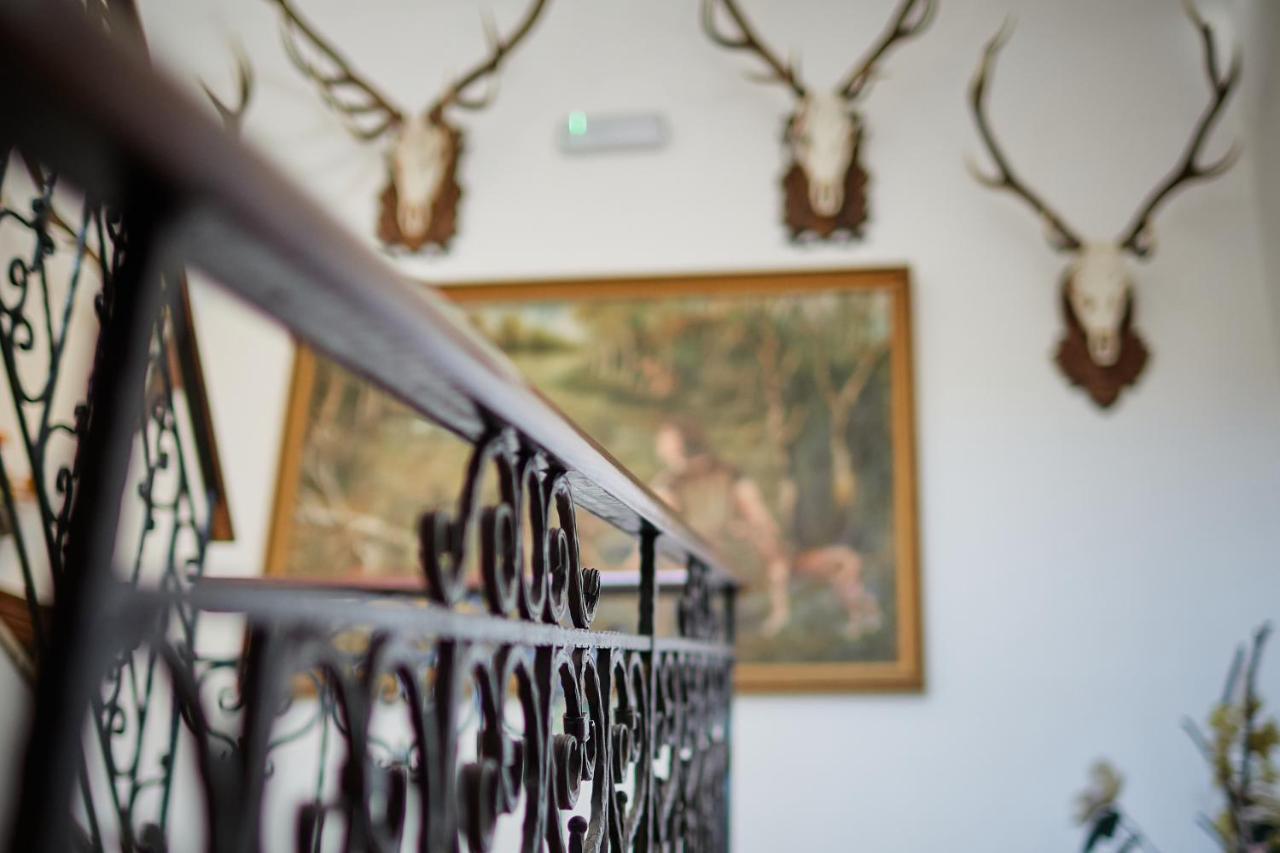 Tercia Hubertus Panzio Bed & Breakfast Sopron Dış mekan fotoğraf