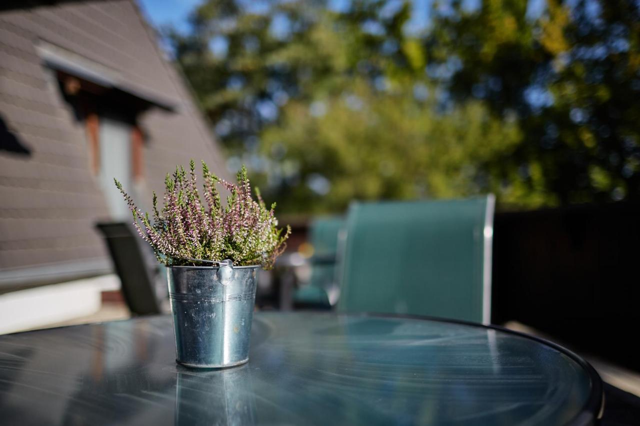 Tercia Hubertus Panzio Bed & Breakfast Sopron Dış mekan fotoğraf