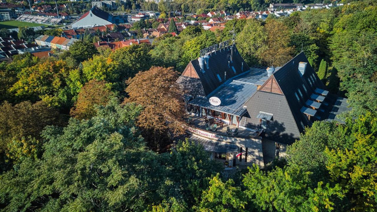 Tercia Hubertus Panzio Bed & Breakfast Sopron Dış mekan fotoğraf